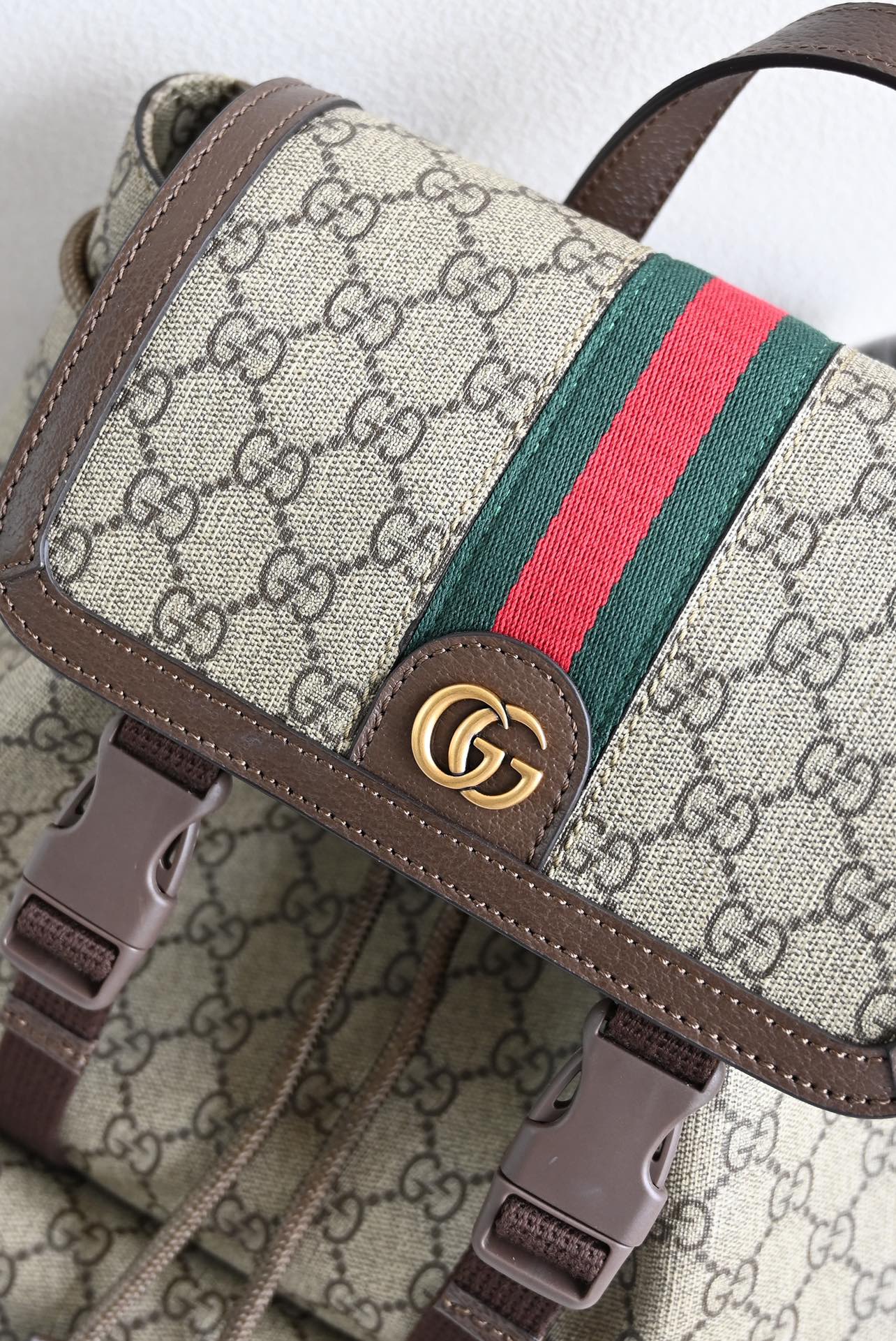 Gucci BackPack