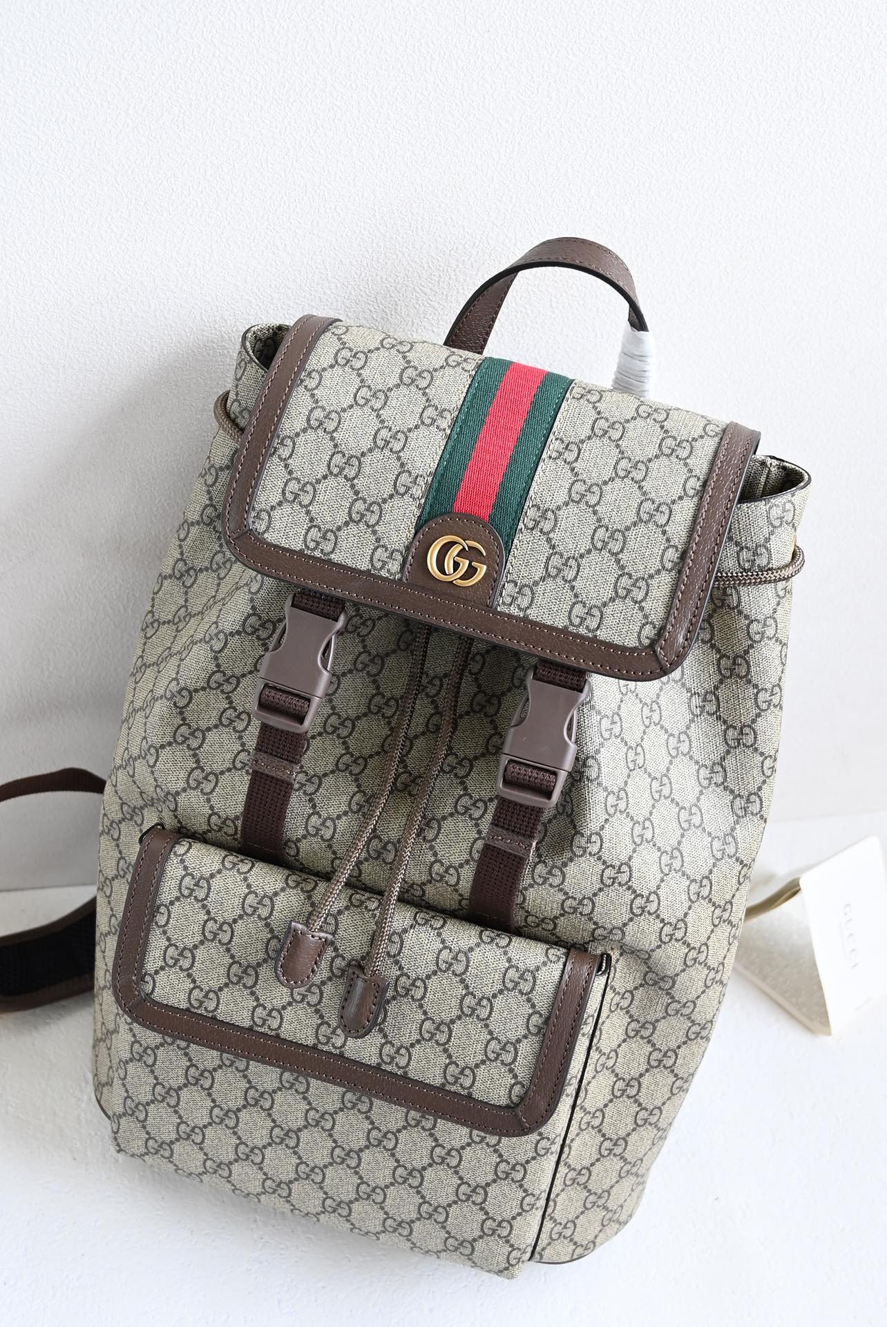Gucci BackPack