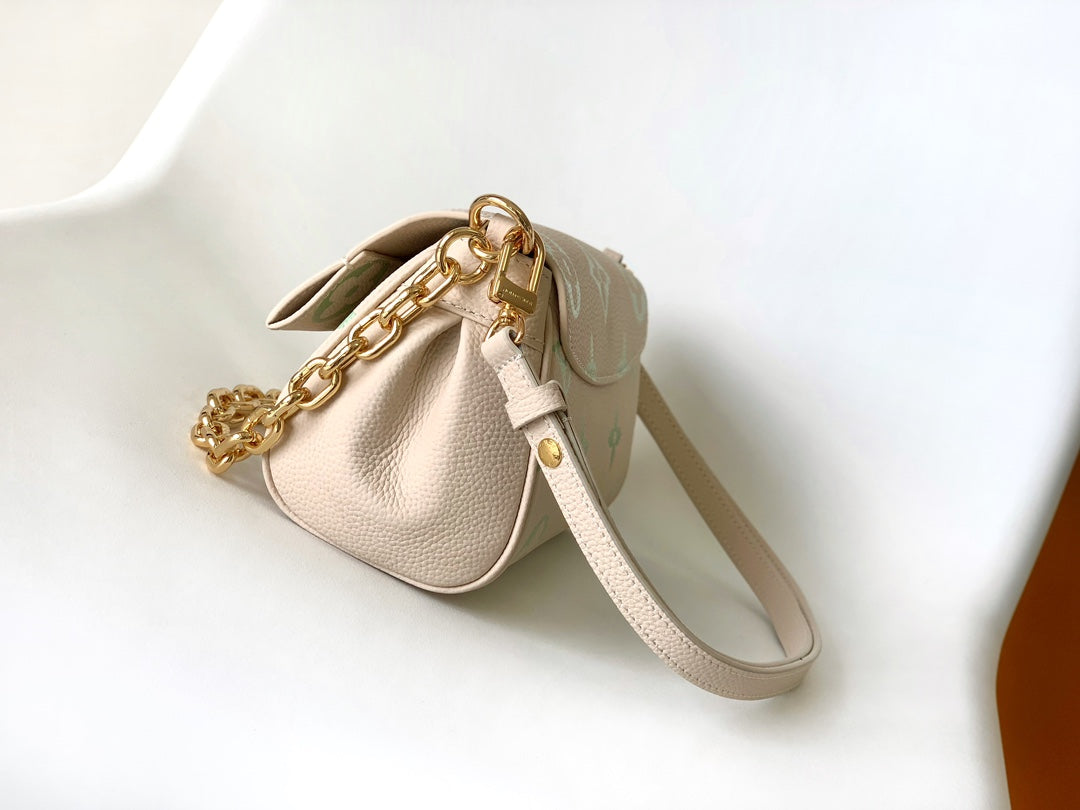 LV Bag
