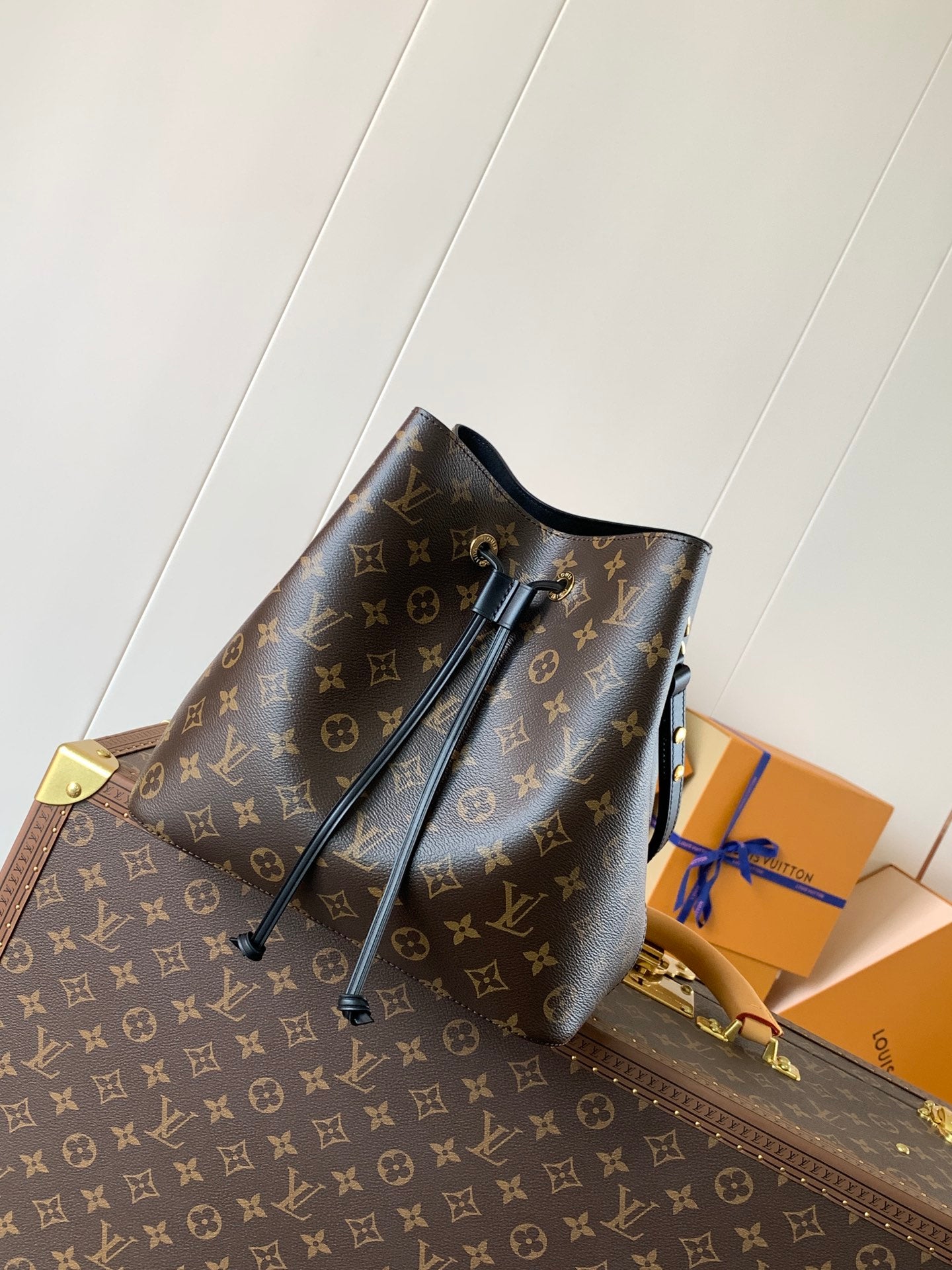 LV Bag Women
