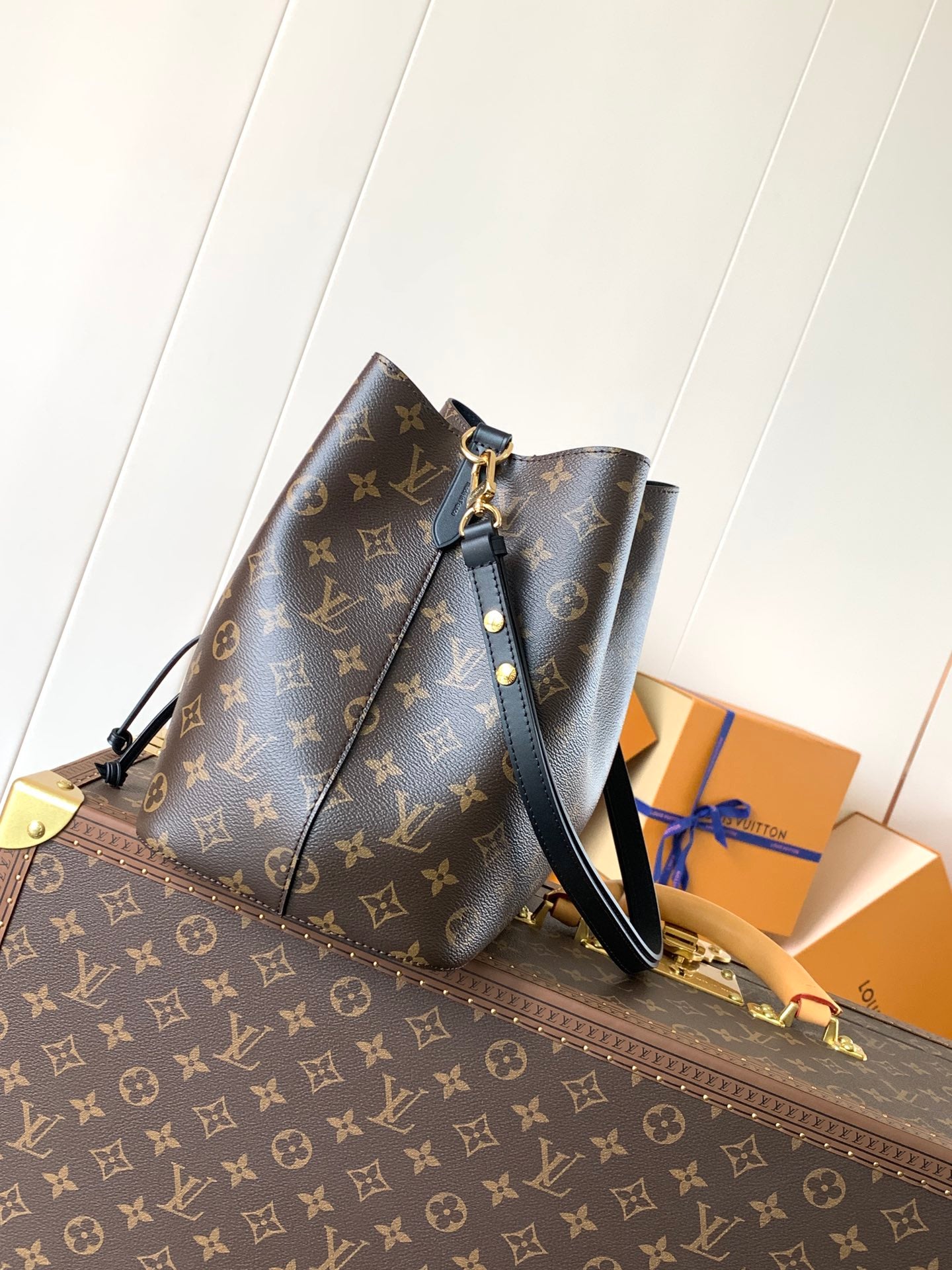 LV Bag Women