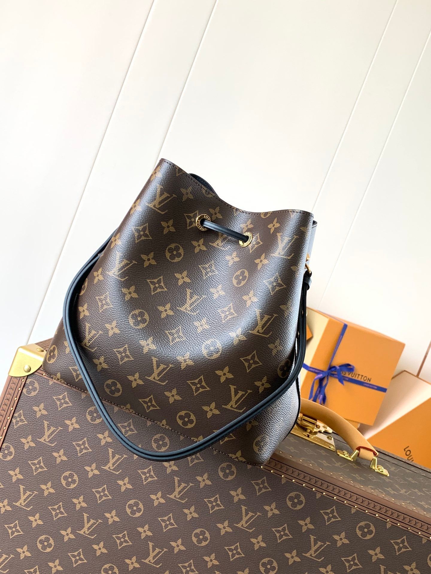 LV Bag Women